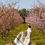 Beautiful Caminito blanet in a field of pink trees. The perfect Spring gift.