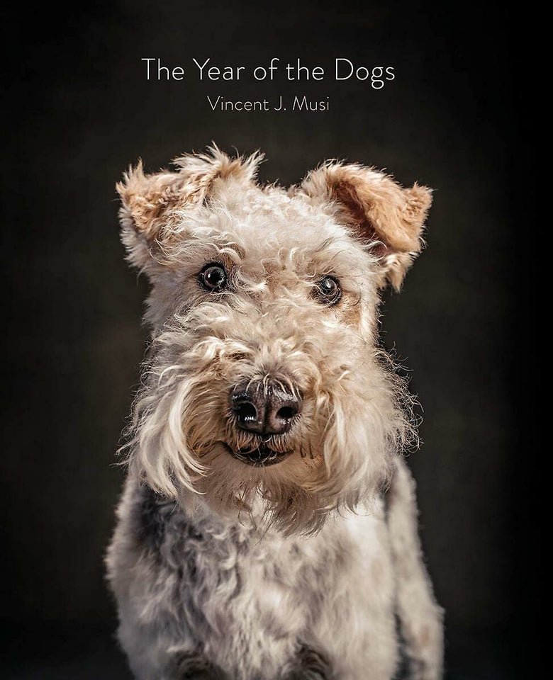 Chronicle Books The Year of the Dog by Vincent Musi.