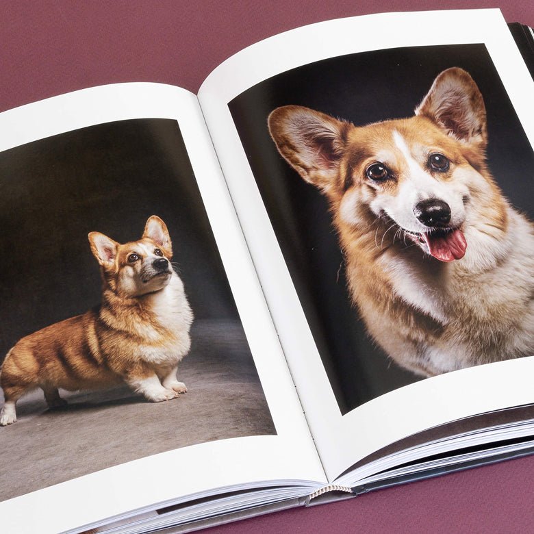 Vincent Musi corgi photograph in his book The Year of the Dog. A great gift for any occasion.