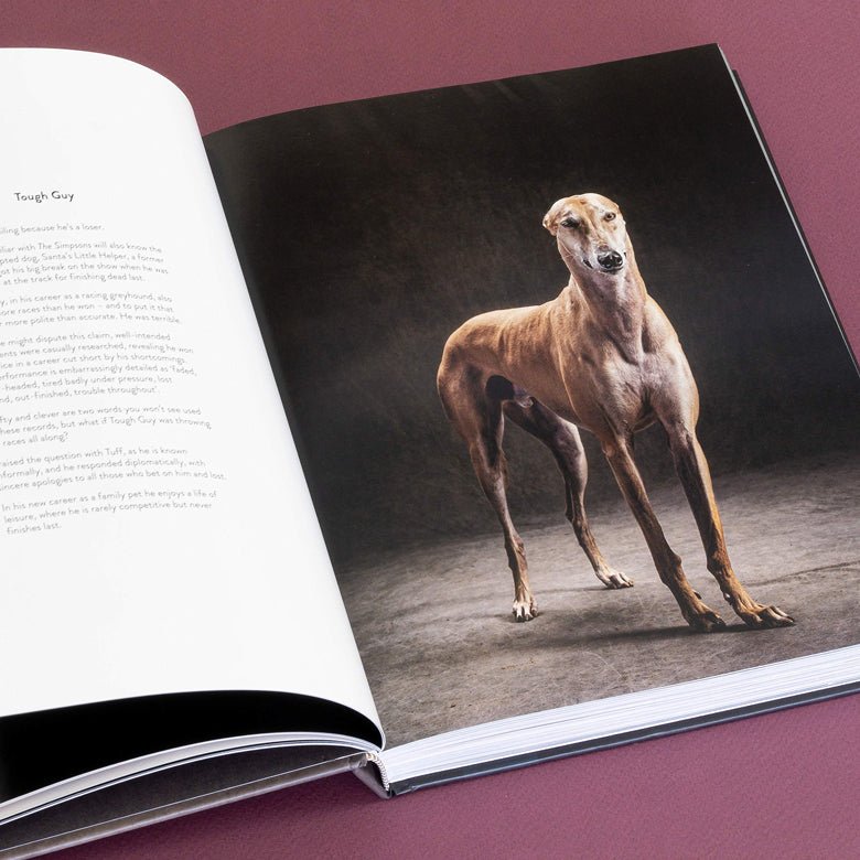 Beautiful dog photos from National Geographic Photographer Vincent Musi.