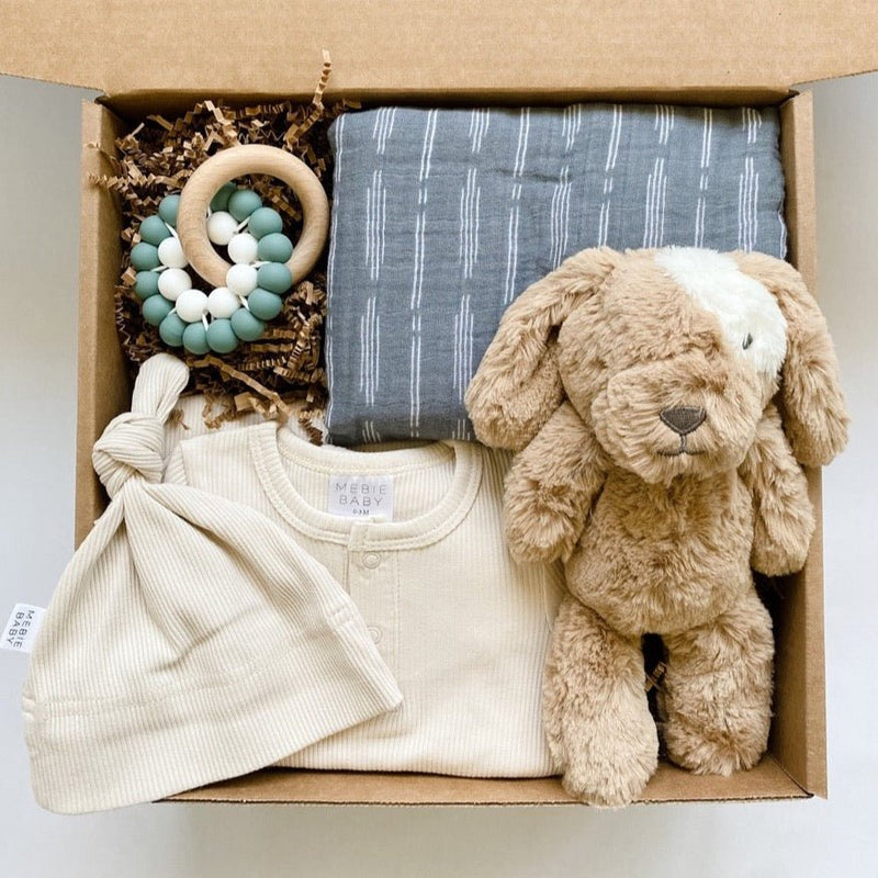 A sweet new baby gift from Mebie Baby and OB Designs featuring a blanket, teether, stuffed pup and coordinating gown and hat.