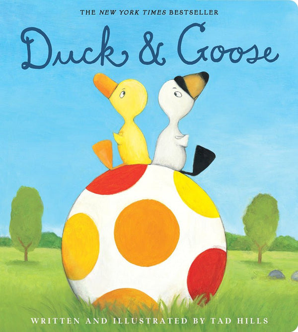 A sweet board book by Tad Hills titled Duck and Goose. A perfect big sib gift.