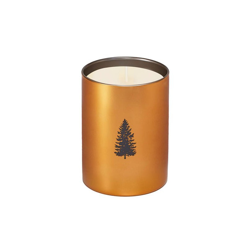 Our favorite candle is just right for a holiday host gift or stocking stuffer!